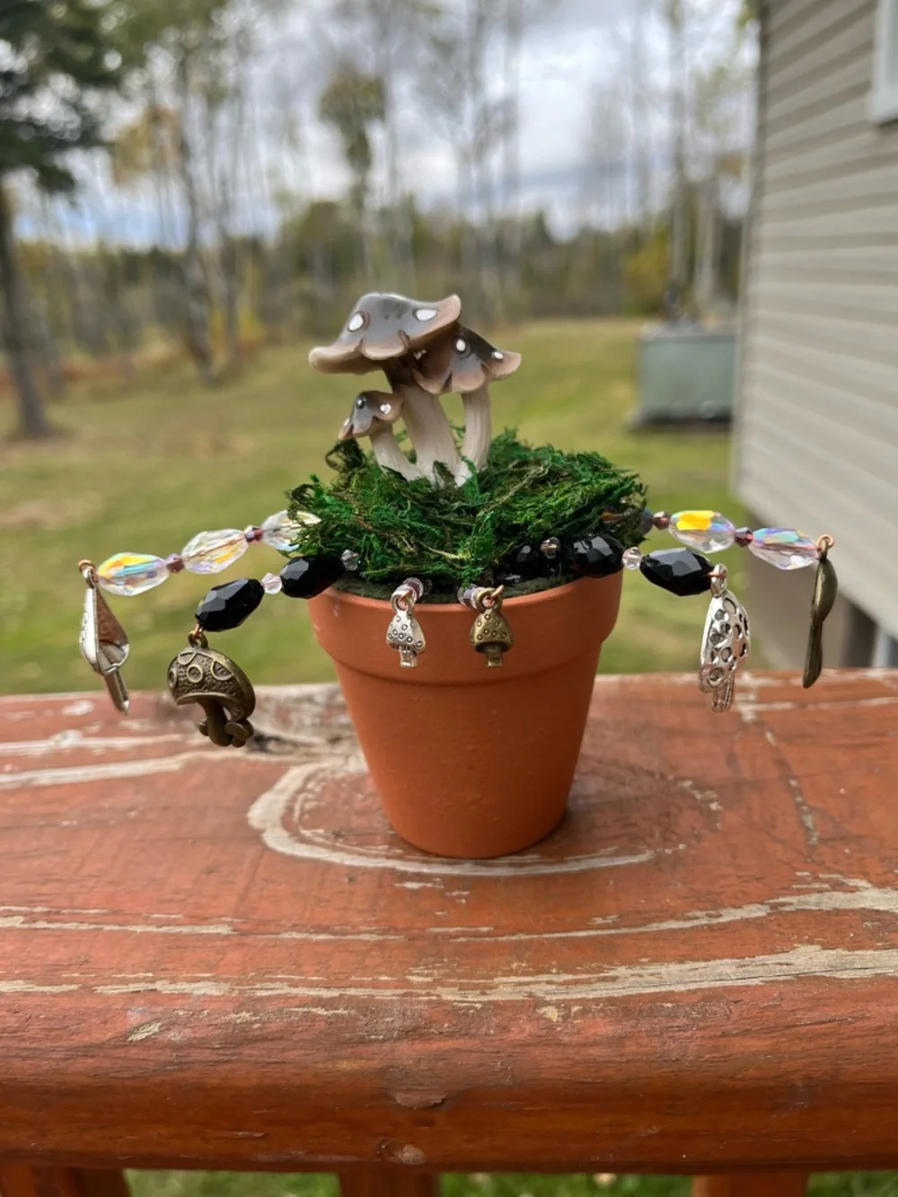 White and Black Beaded Mushroom Plant